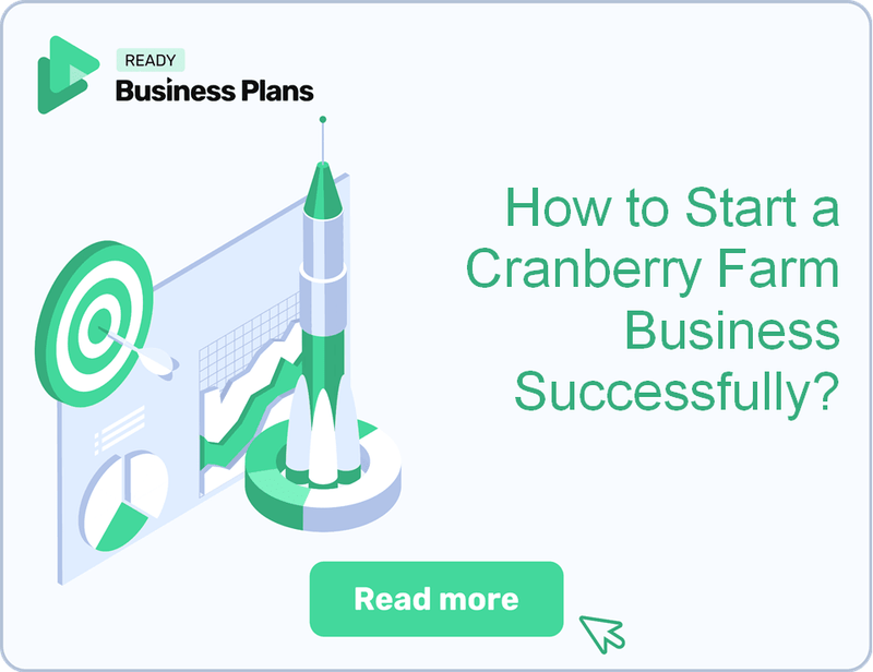 How to Start a Cranberry Farm Business Successfully?