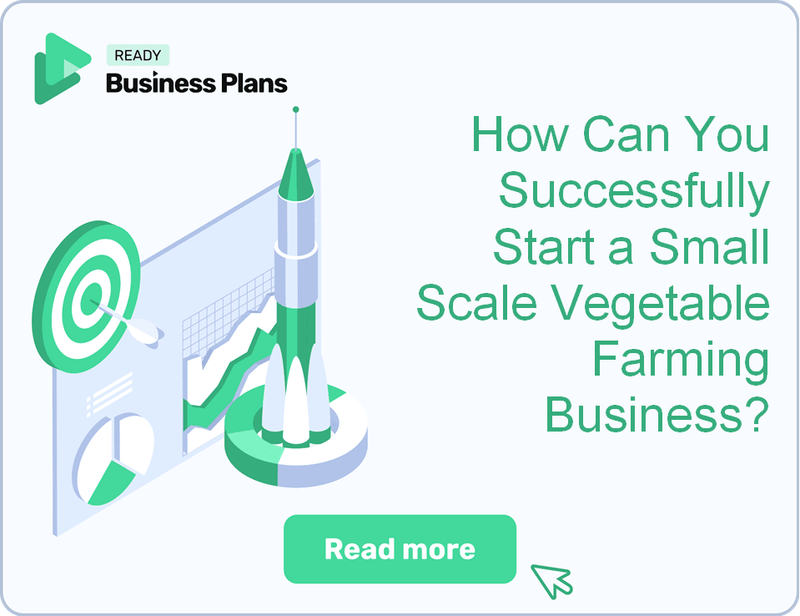 How Can You Successfully Start a Small Scale Vegetable Farming Business?