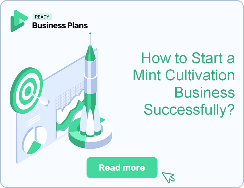 How to Start a Mint Cultivation Business Successfully?