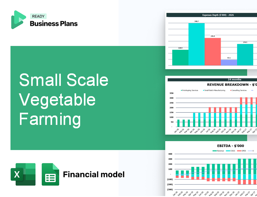 Small Scale Vegetable Farming Financial Model